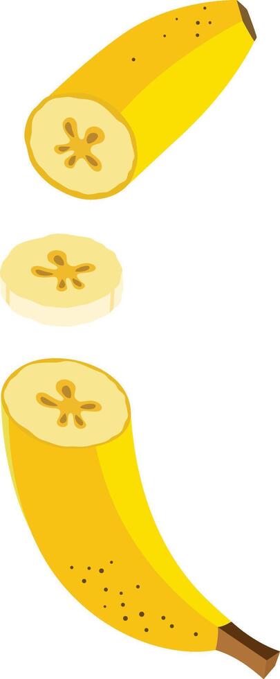 Fresh banana cut in half vector