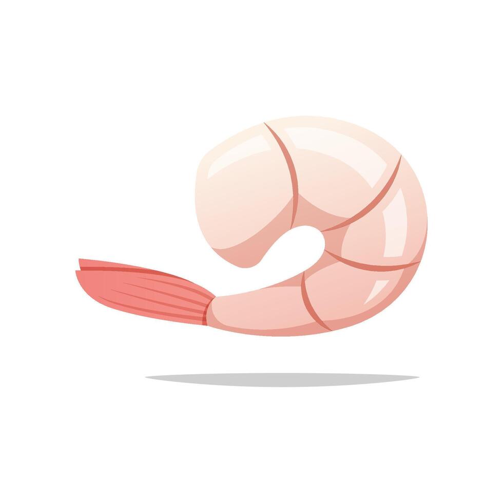 Fresh shrimp isolated on white background. vector