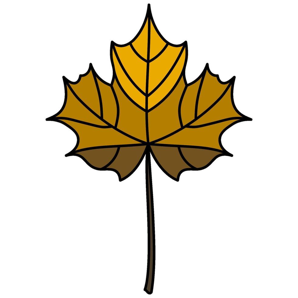 Decorative illustrated maple leaf illustration graphic element vector