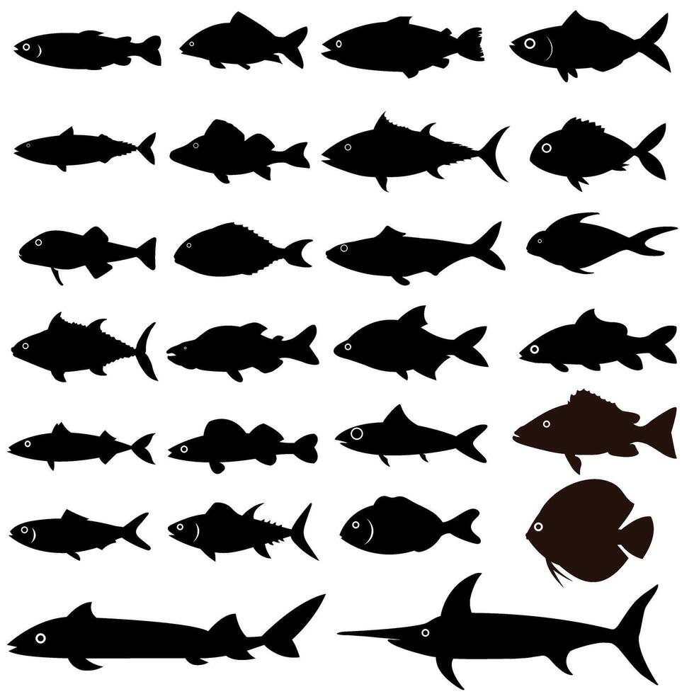 Fish icon set. Food illustration sign collection. Ocean symbol or logo. vector