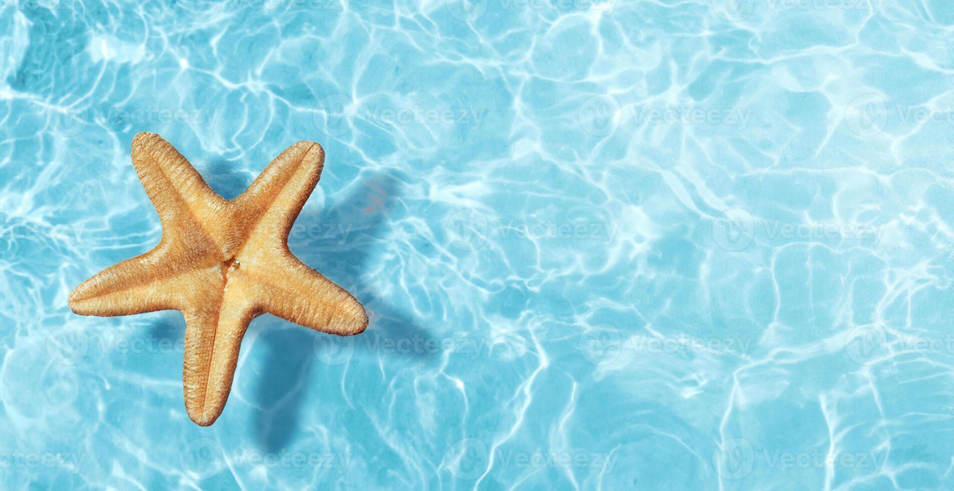 Coastal Flora and Fauna, Starfish and Flower in Seawater, Summer Beach Scene photo