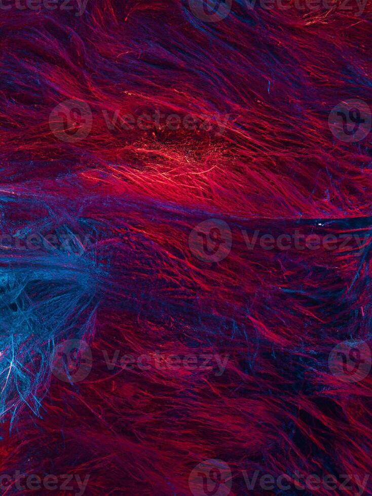 Abstract Macro Photograph for Background Use photo