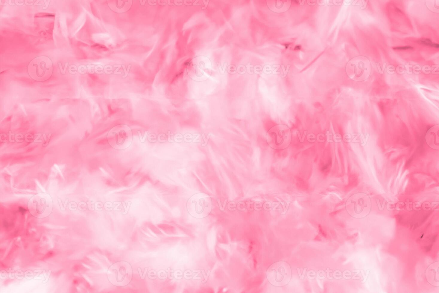 Abstract Colorful Feathers on White and Pink Backgrounds with Soft Texture, Valentine's Day Theme photo