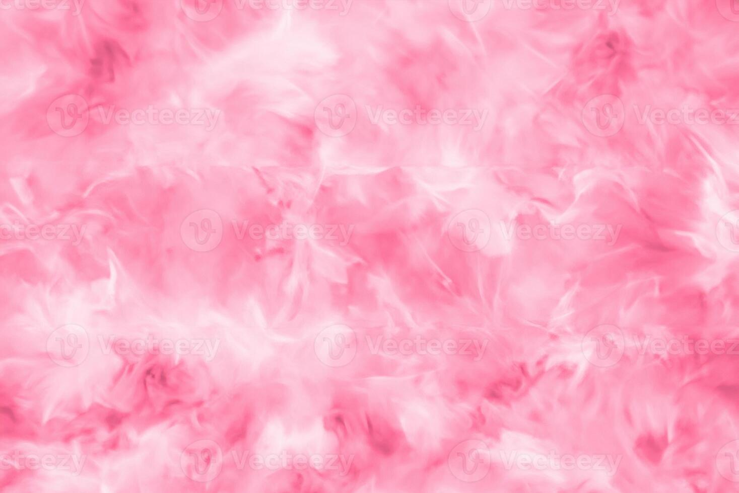 Abstract Colorful Feathers on White and Pink Background with Soft Texture, Valentine's Day Theme photo