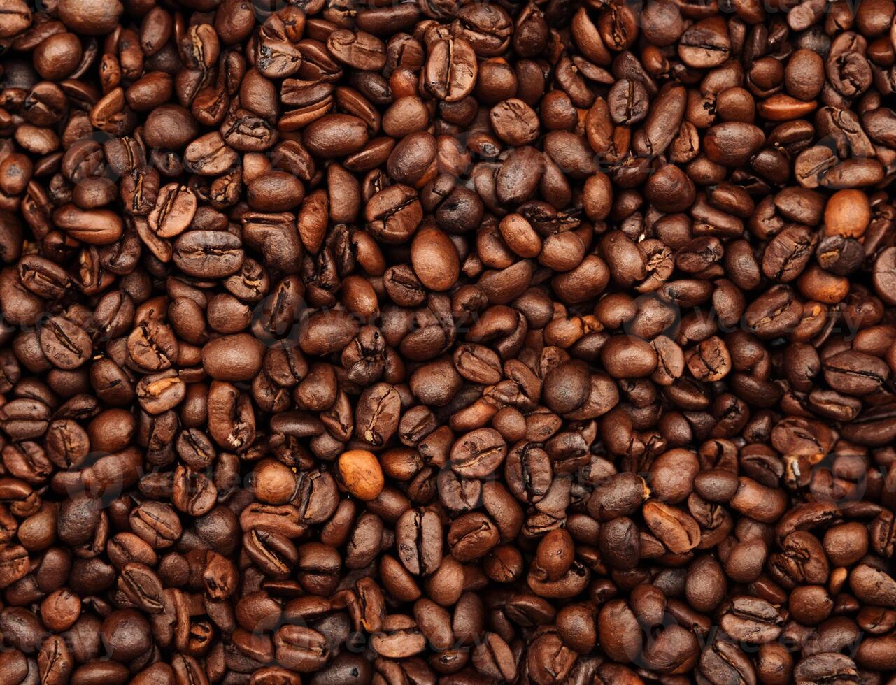 Coffee Beans Macro Shot photo