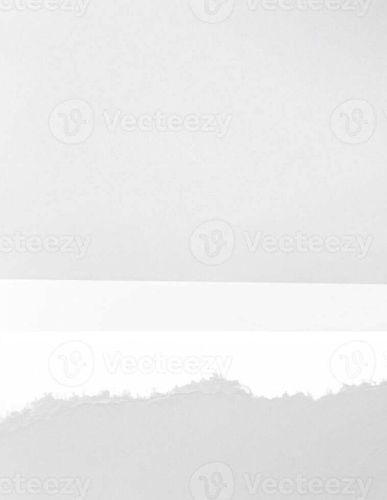 Paper Tear on White Background with Copy Space photo