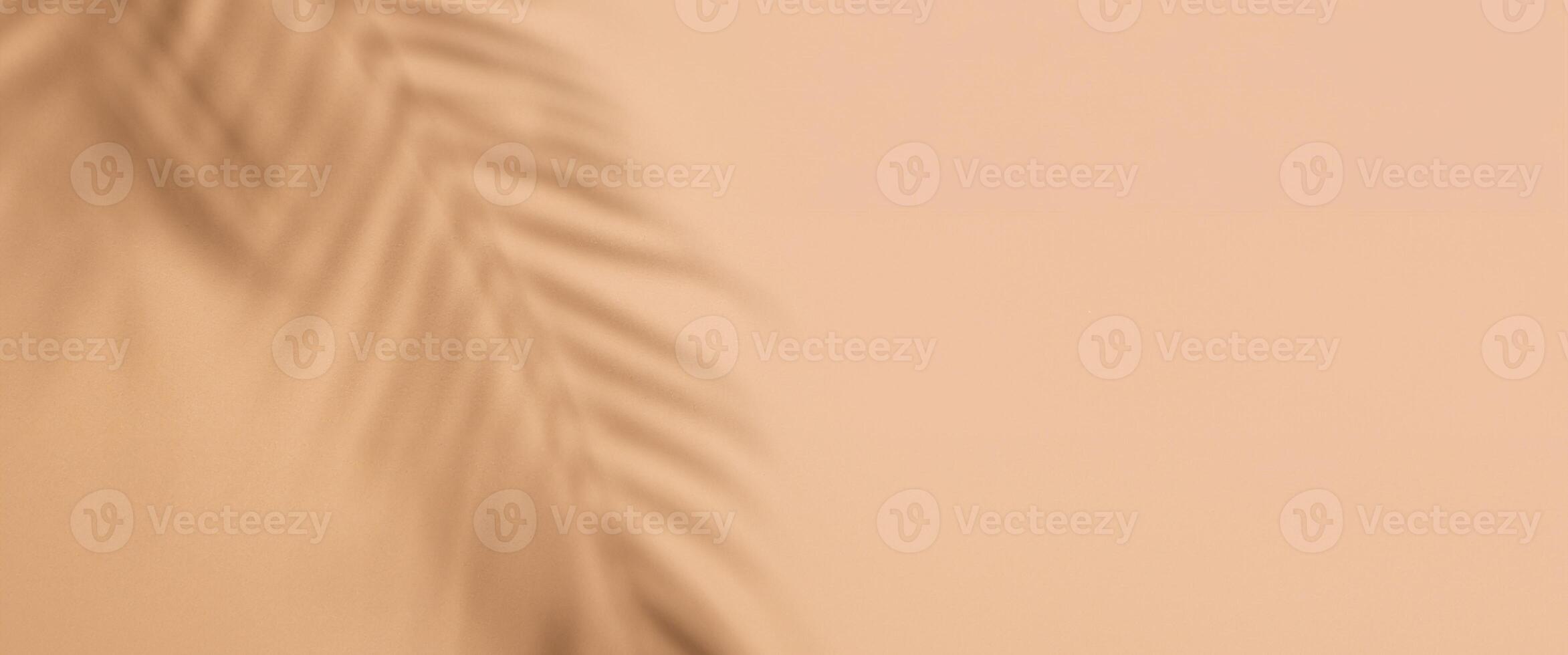Top-Down View of Palm Tree Leaf Shadows on Neutral Background. Minimalist Tropical Banner Concept. photo