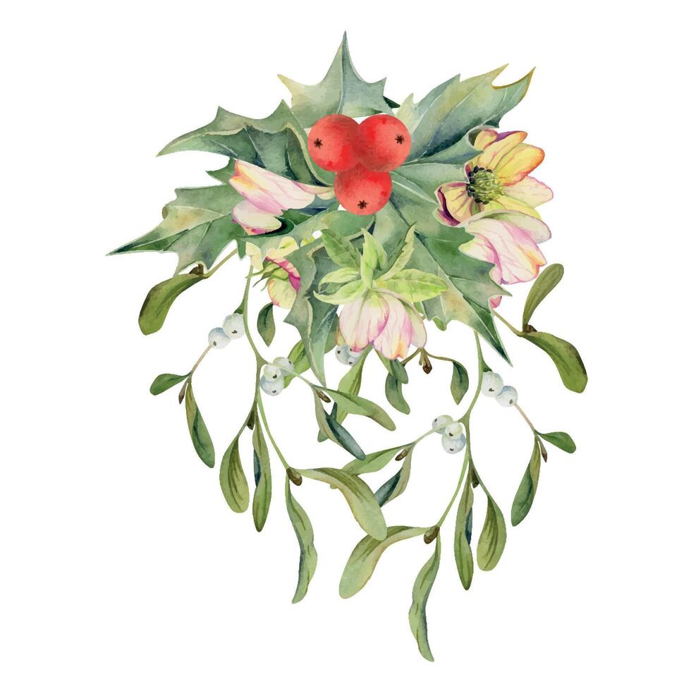 Holly leaves berries, hellebore flower, mistletoe. Watercolor hand drawn illustration, bouquet isolated on white. Xmas, happy new year festive, noel navidad holiday. For cards, gifts florist wedding. vector
