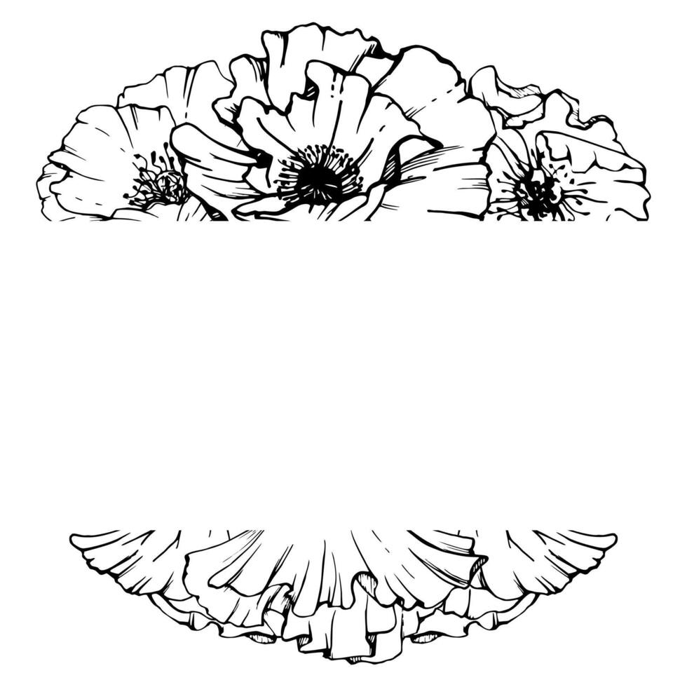 Hand drawn graphic botanical illustration flowers leaves. Red poppy papaver, stems buds seedpods. Border frame isolated on white background. Design wedding, cards, remembrance day stationery. vector