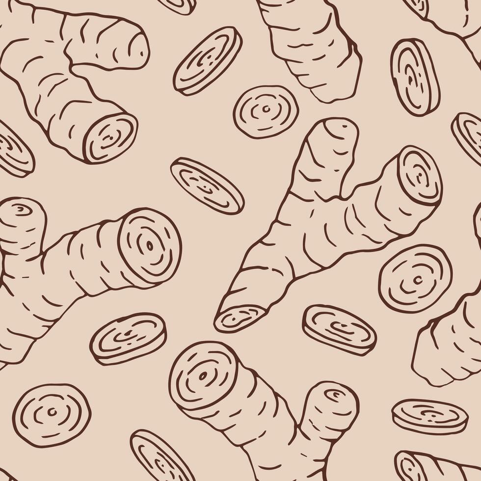 Seamless pattern with ginger. Hand drawn illustration in outline style. vector
