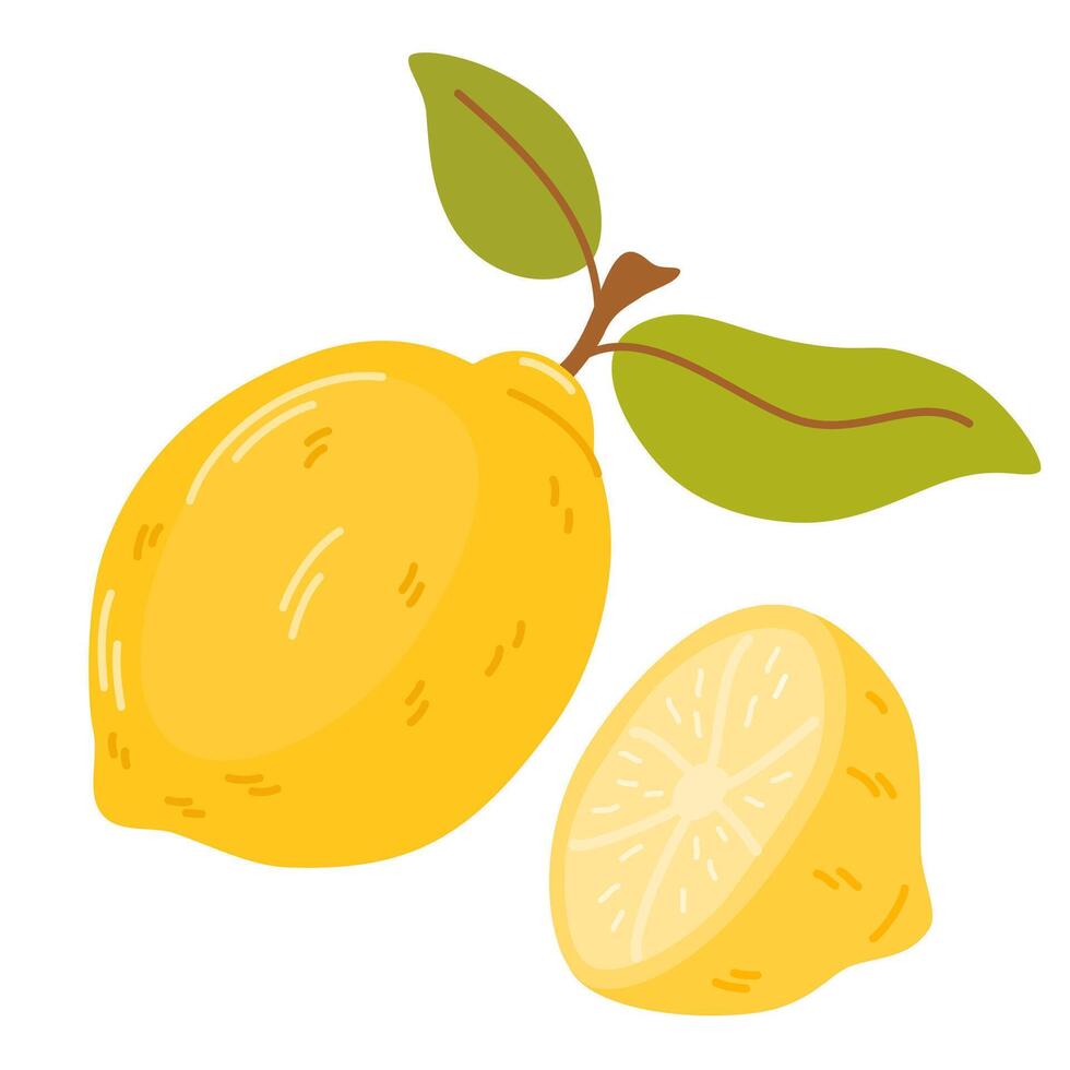 Whole fruit and half of fresh sour lemon. Composition of yellow citruses with peel and leaves. Flat illustration of exotic tropical fragrant food isolated on white background vector