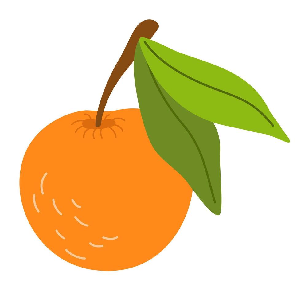 Orange with leaf. Tropical fresh fruit drawn in simple doodle style. Whole exotic citrus icon. Healthy vitamin food. Colored flat illustration isolated on white background vector