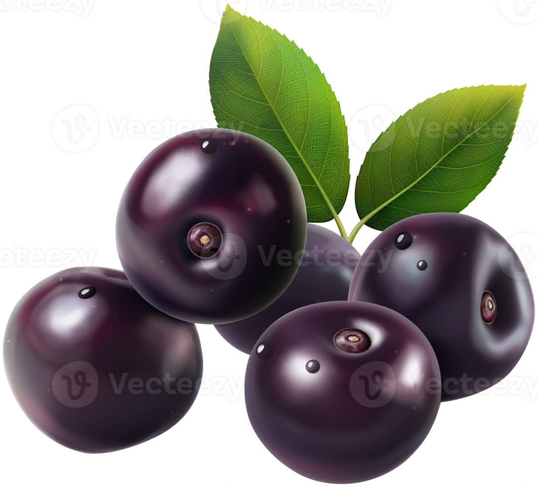 Acai berry illustration - Few acai berry with leaf isolated on a transparent background png