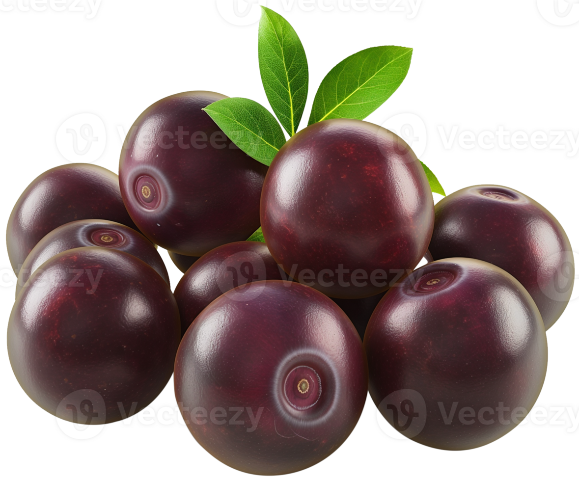 Acai berry illustration - Group of raw acai berry isolated on a transparent background png
