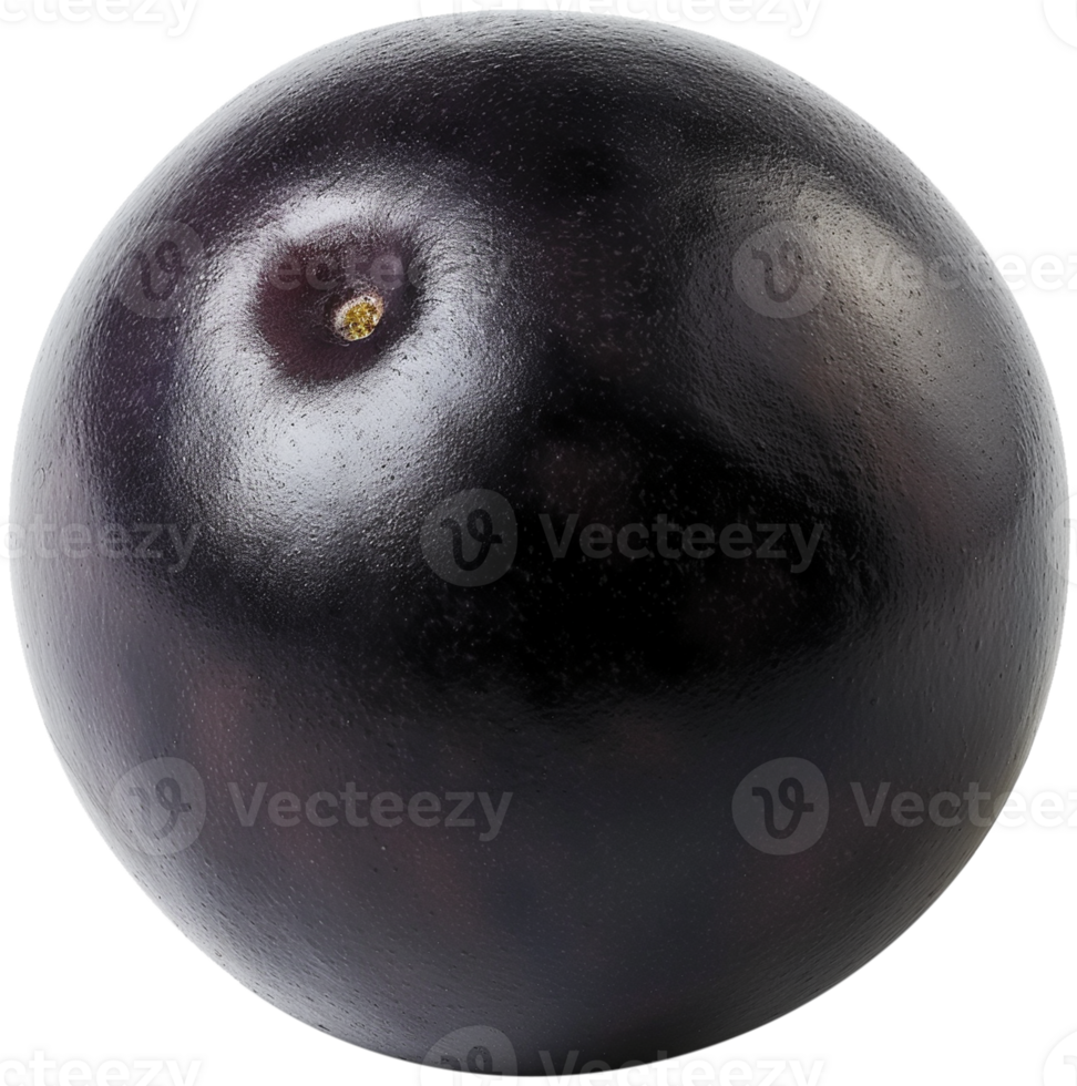 Acai berry illustration - A Acai berry fruit isolated on a transparent background png