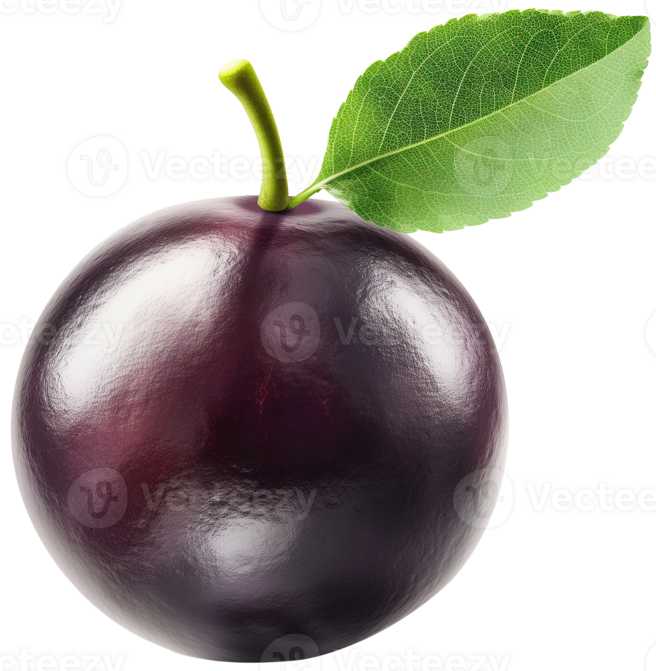 Acai berry illustration - A Acai berry fruit isolated on a transparent background png