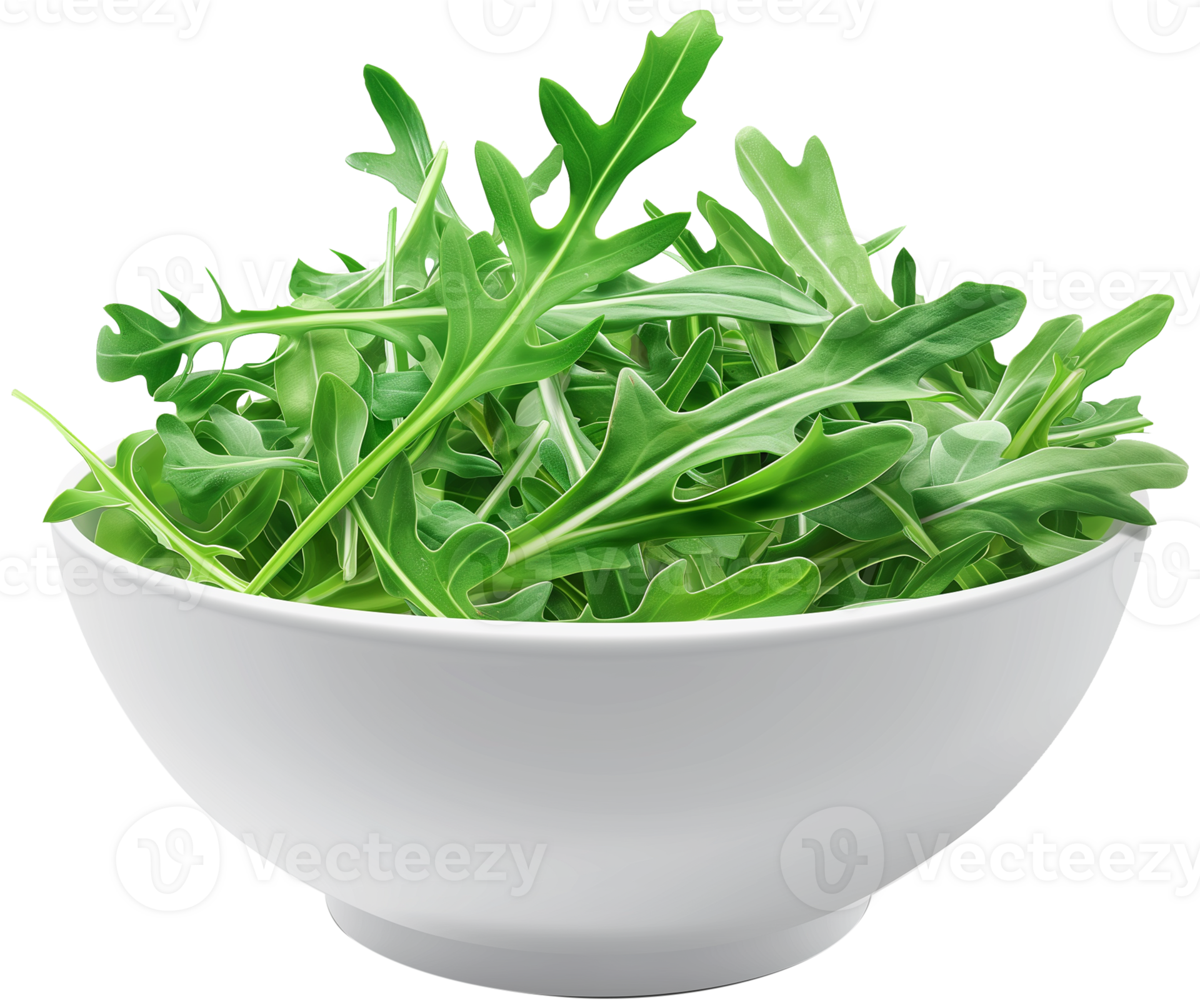 Rocket, Eruca, and arugula arugula leaves in a bowl isolated