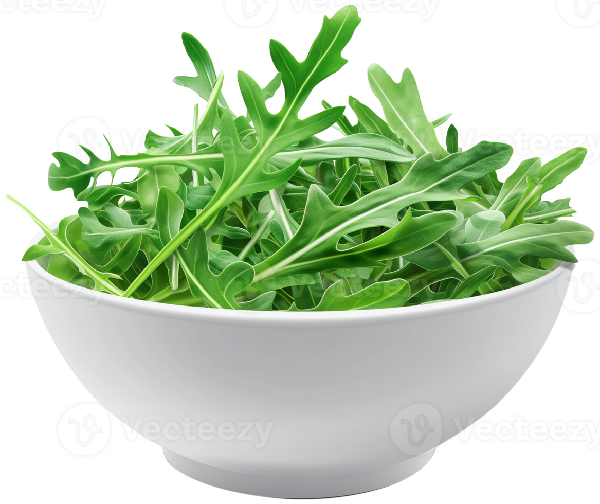 Rocket, Eruca, and arugula - arugula leaves in a bowl isolated illustrations on a transparent background png