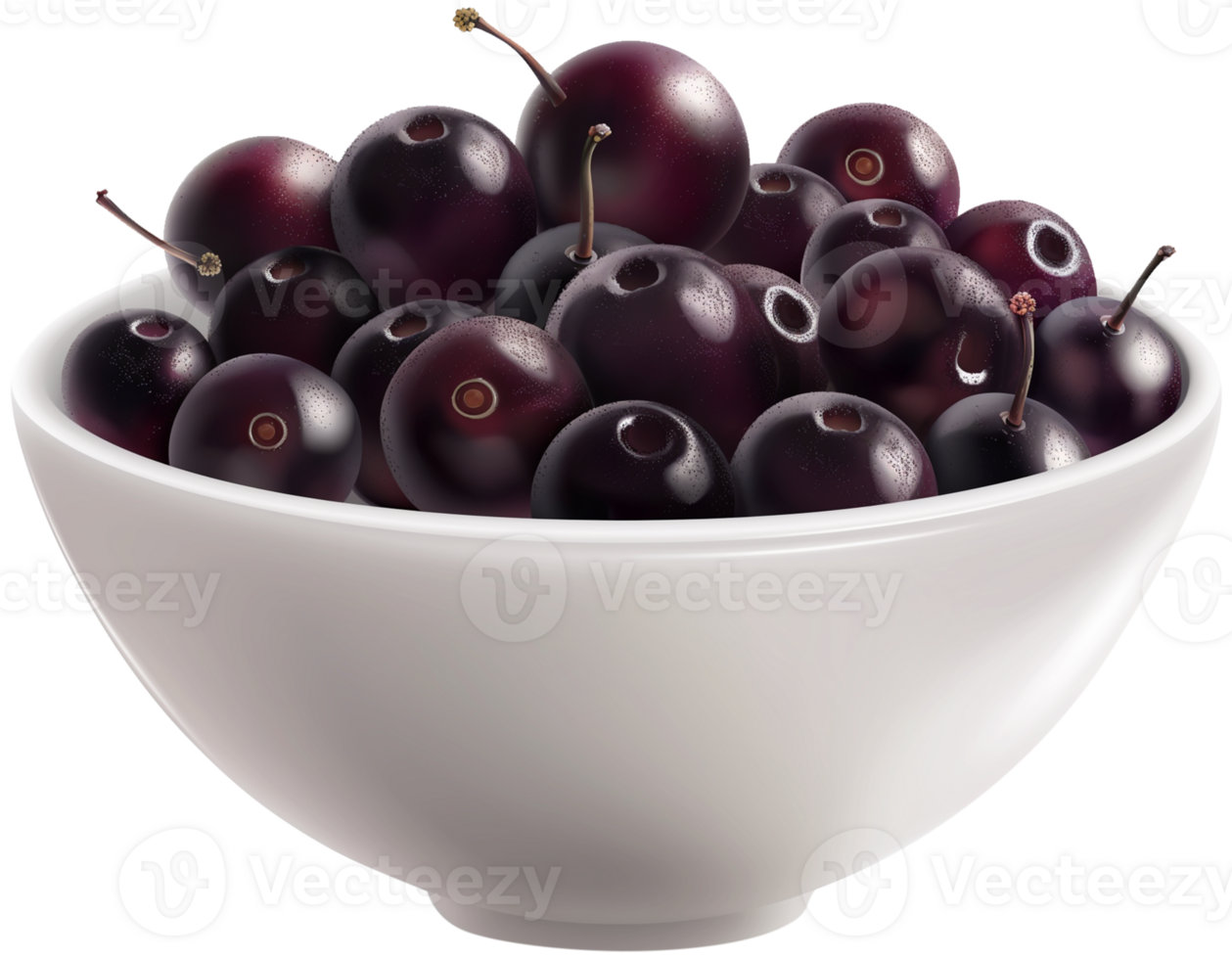 Acai berry illustration - bunch of acai berries in a white bowl isolated on a transparent background png