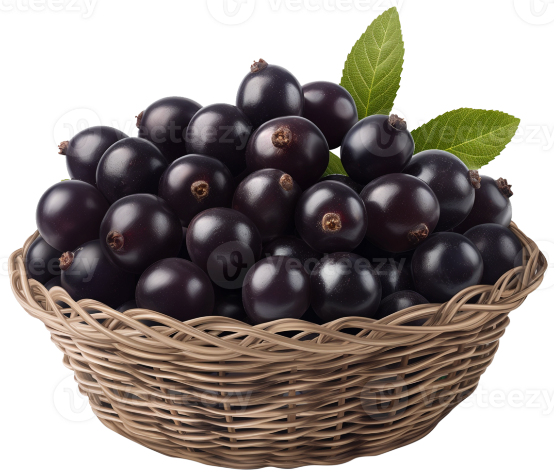 Acai berry illustration - Acai berries in a basket isolated on a transparent background png