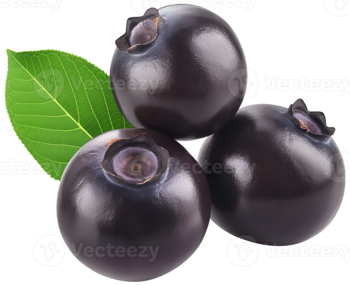 Acai berry illustration - Few acai berry with leaf isolated on a transparent background png