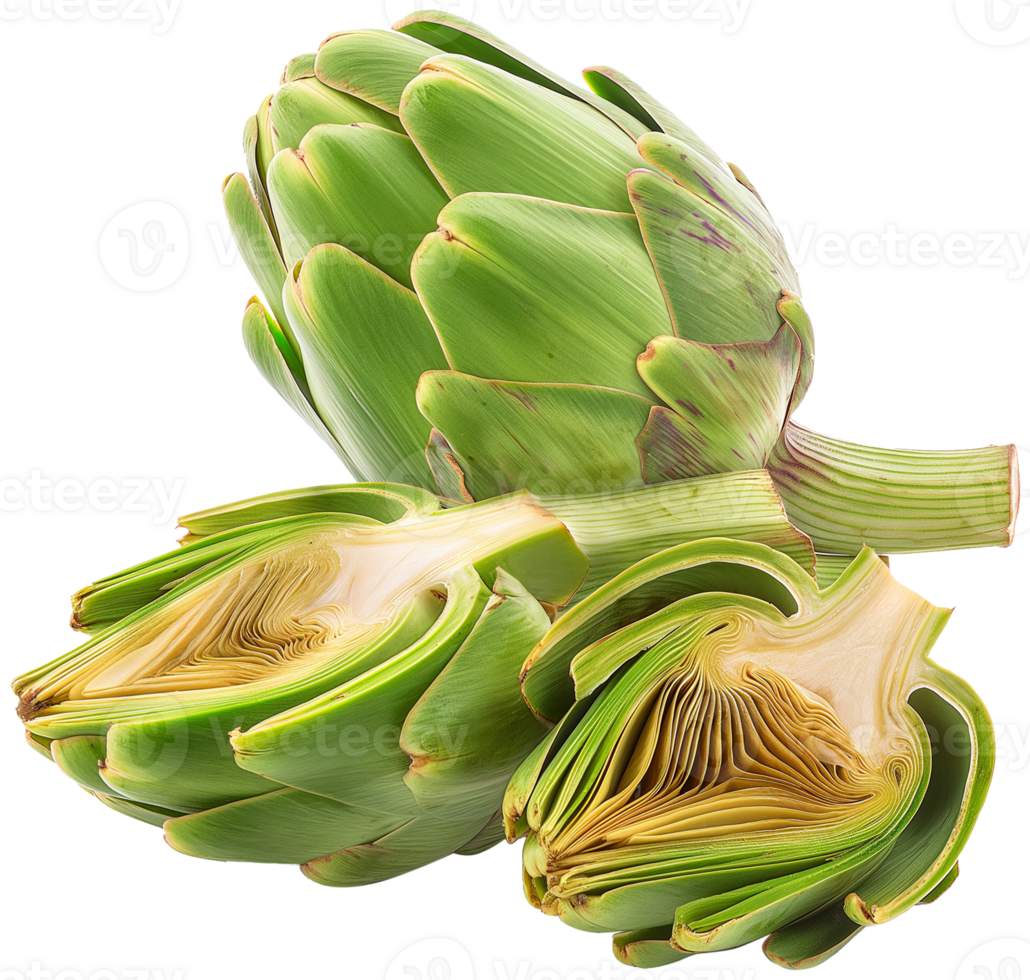 Globe Artichoke illustration - A few Artichoke isolated on a transparent background png
