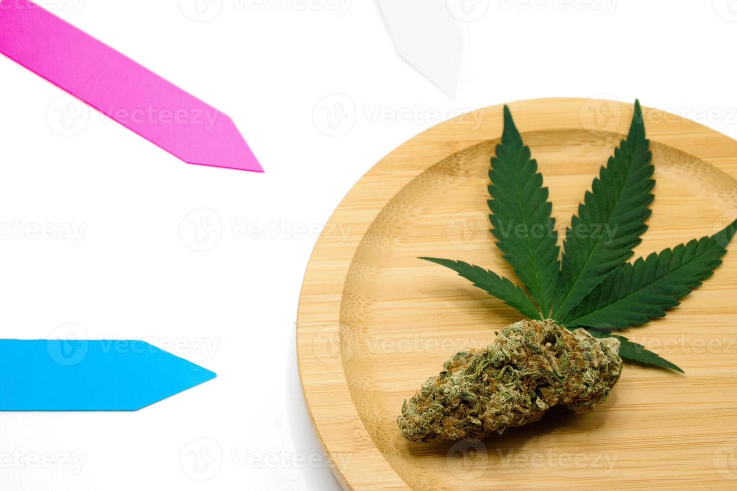 Cannabis bud and leaves on a wooden plate and a colorful PVC plant tag on a white isolated background in a research lab. Marijuana bud and leaf isolated on white background 2024. photo