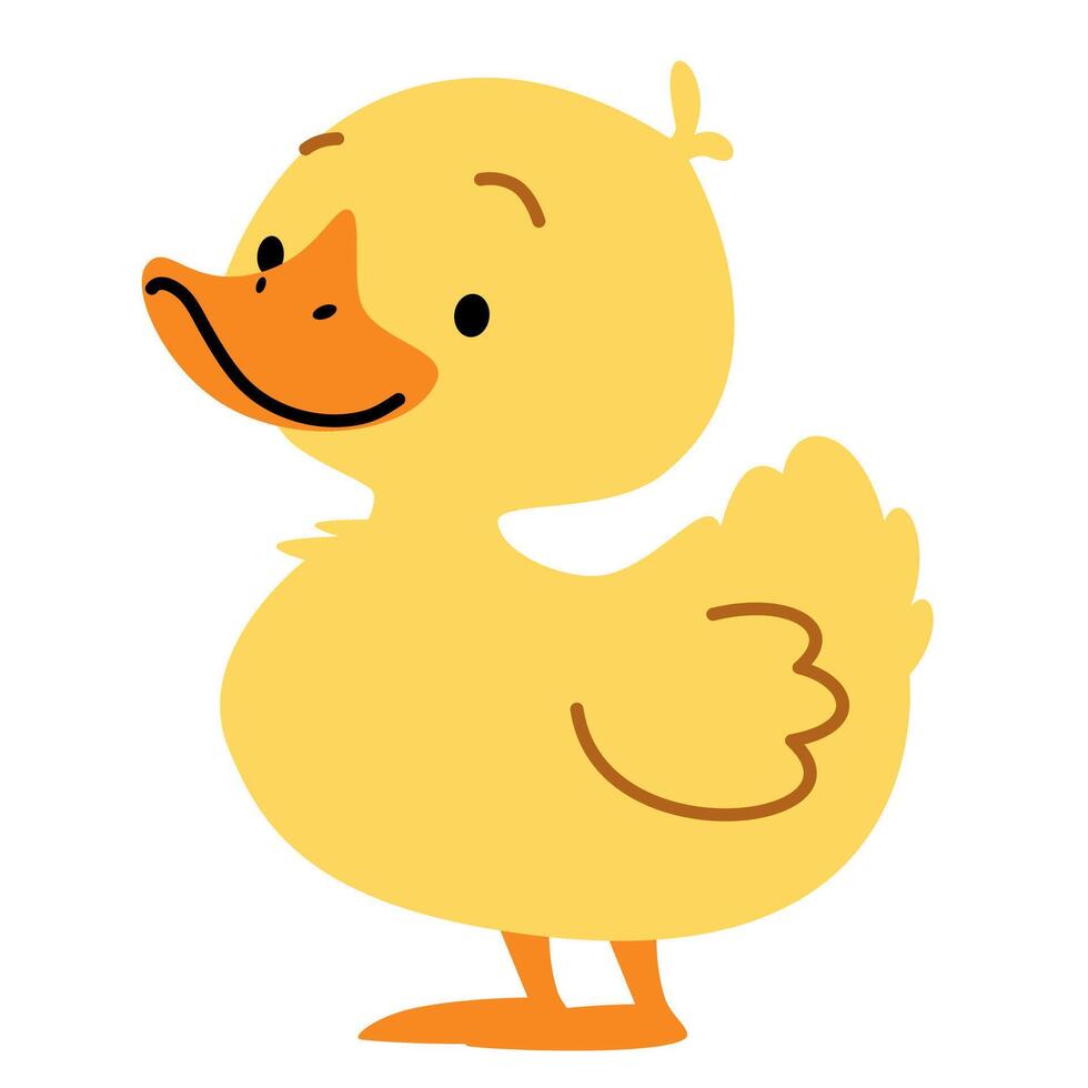 Flat illustration in children's style. Cute duckling on white background vector