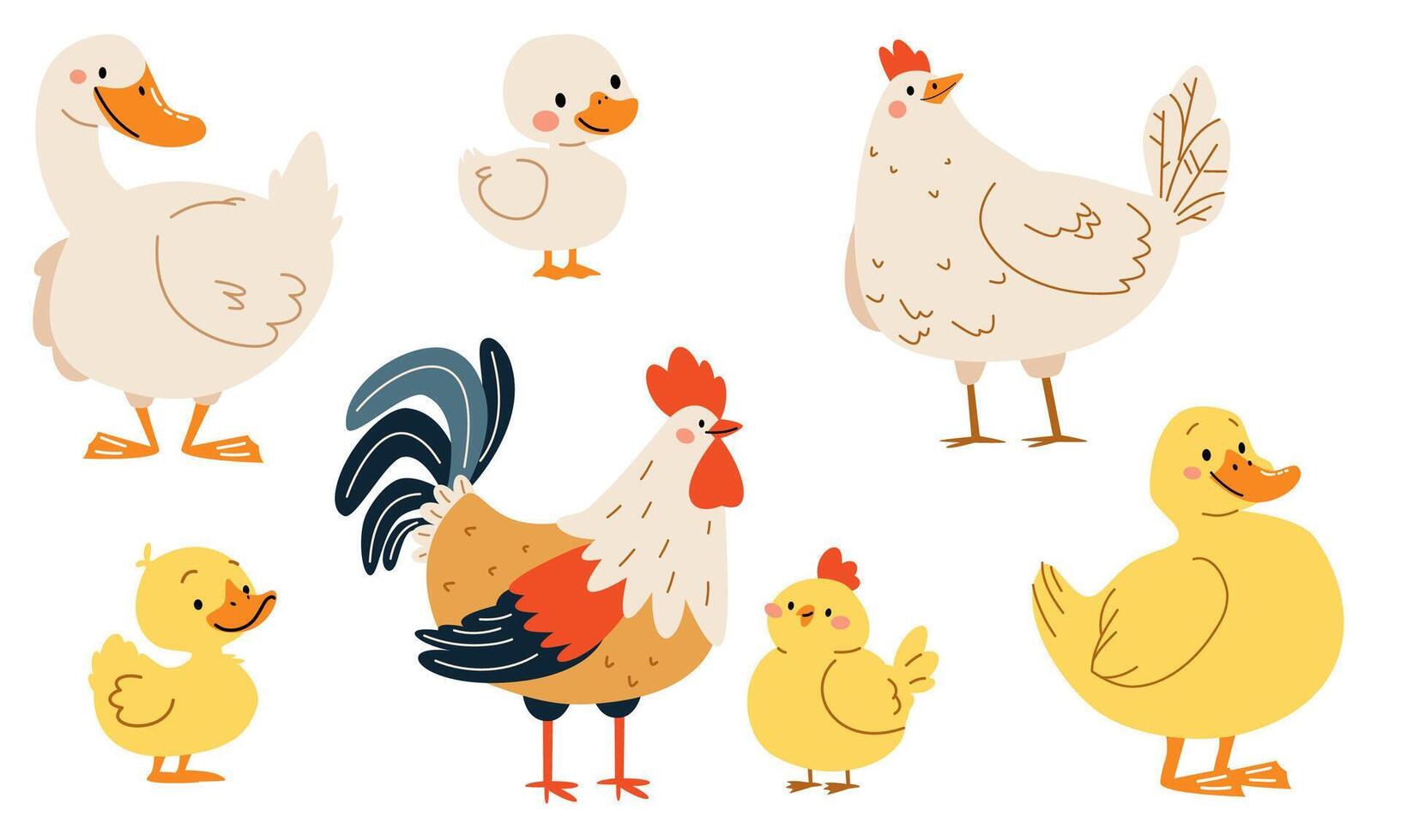 Set of flat illustrations on white background. Domestic birds with their children. Goose duck hen and rooster duckling chick chicken vector