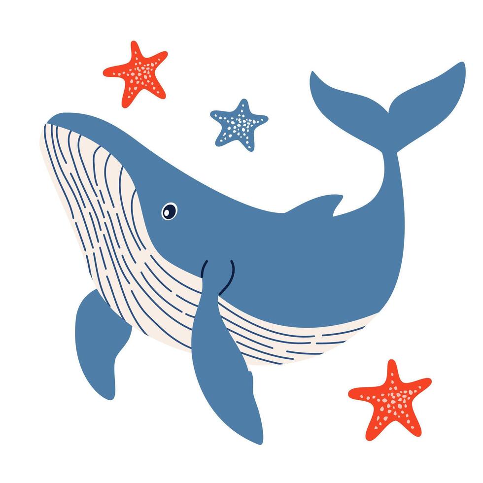 Flat illustration in children's style. Cute blue whale and starfish on white background vector