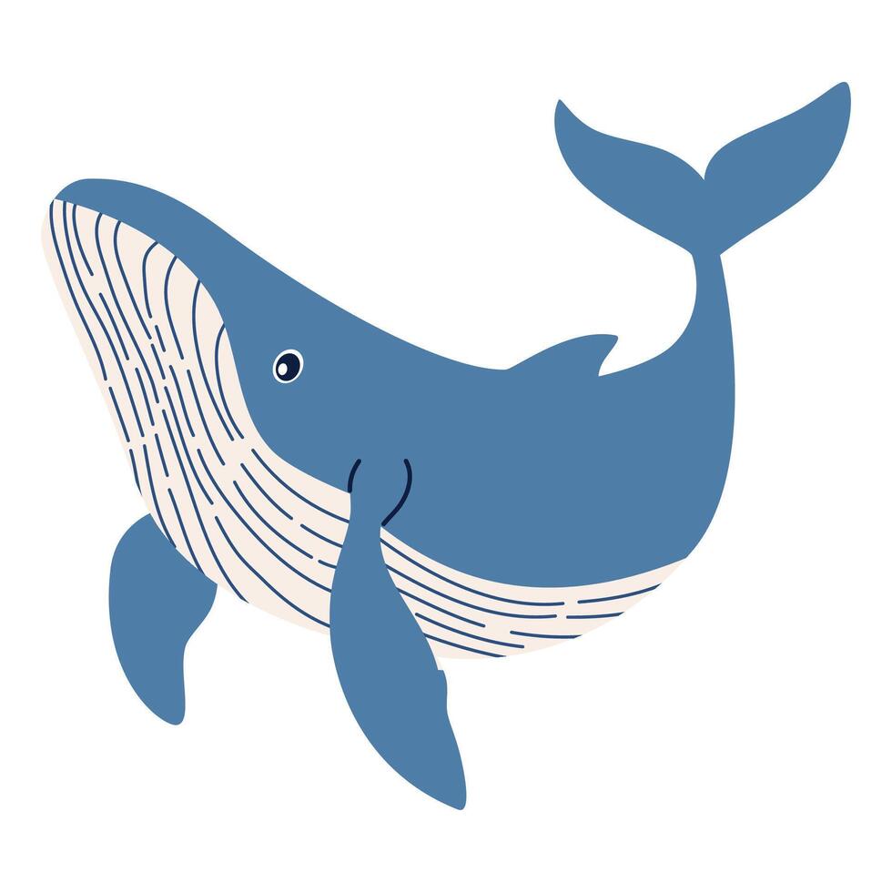 Flat illustration in children's style. Cute blue whale on white background vector