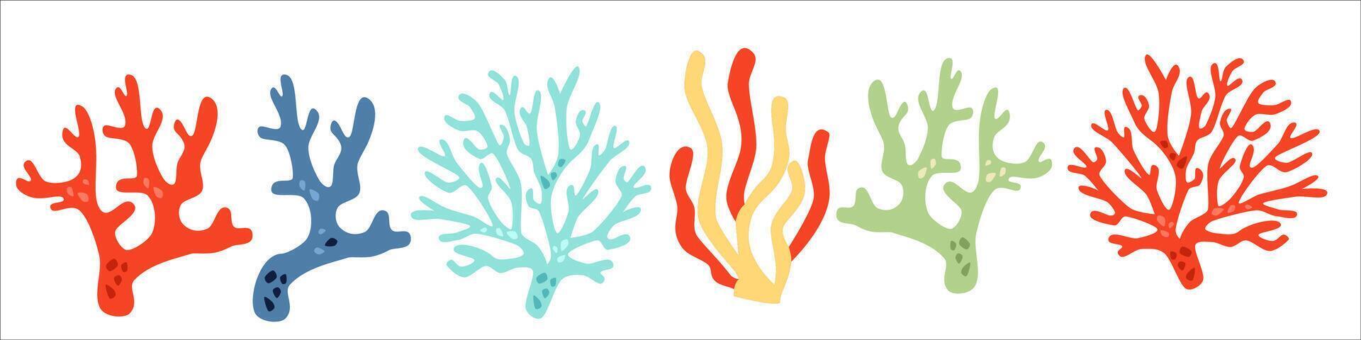 collection of colorful corals. Underwater plants on white background vector