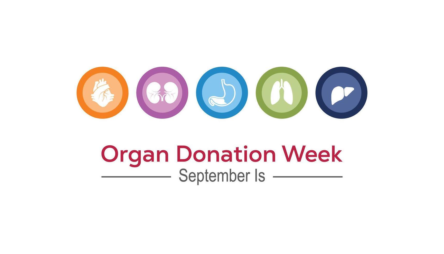 Organ Donation week is observed every year on September. banner design template illustration background design. vector