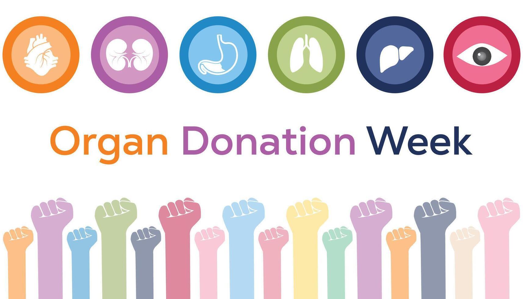 Organ Donation week is observed every year on September. banner design template illustration background design. vector