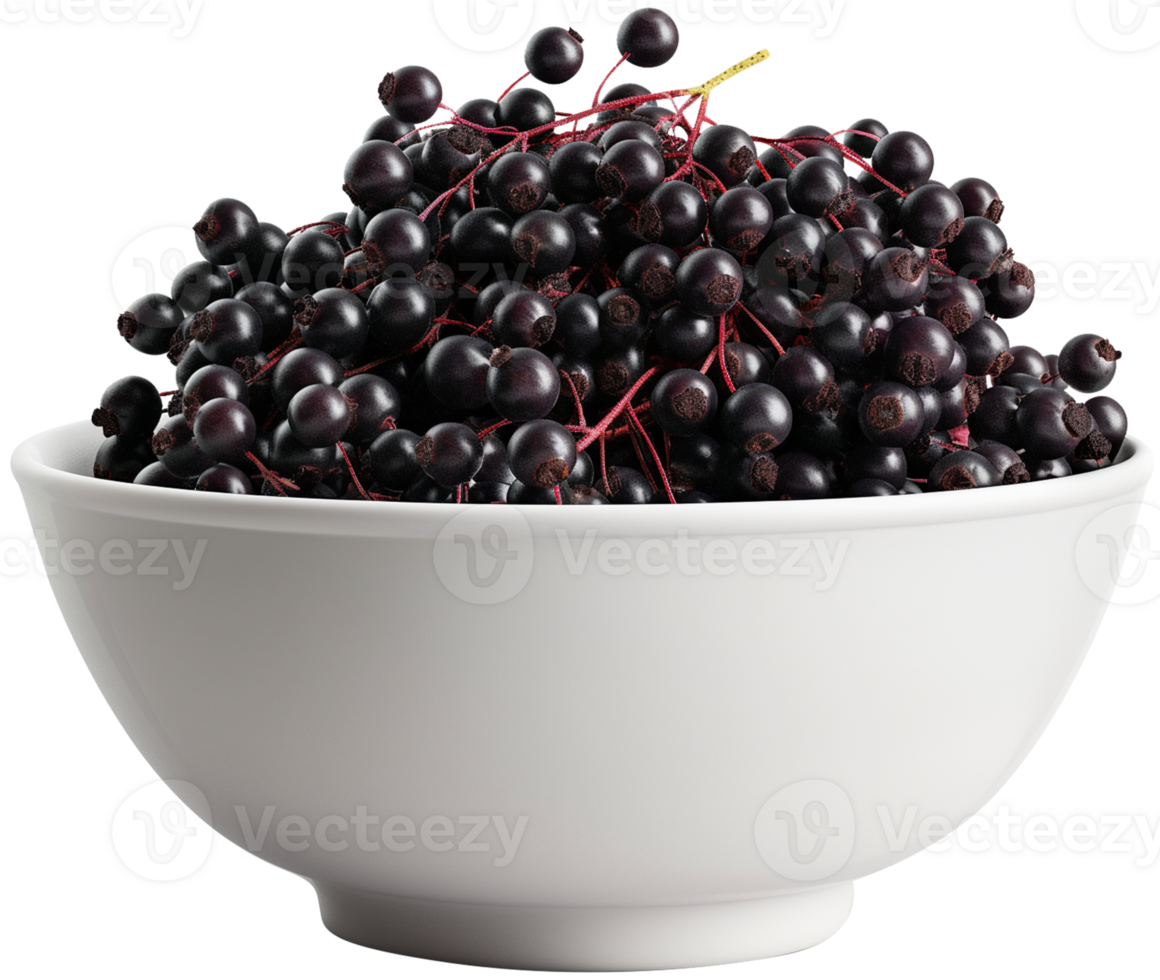 Sambucus fruit illustration - Elderberry in a white bowl isolated on a transparent background png
