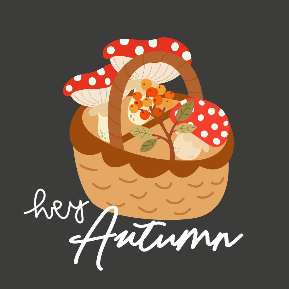 Hello Autumn illustration. A wooden wicker basket with a handle with mushrooms and a sprig of sea buckthorn. Flat fly agaric, sea buckthorn, basket and inscription on gray background vector