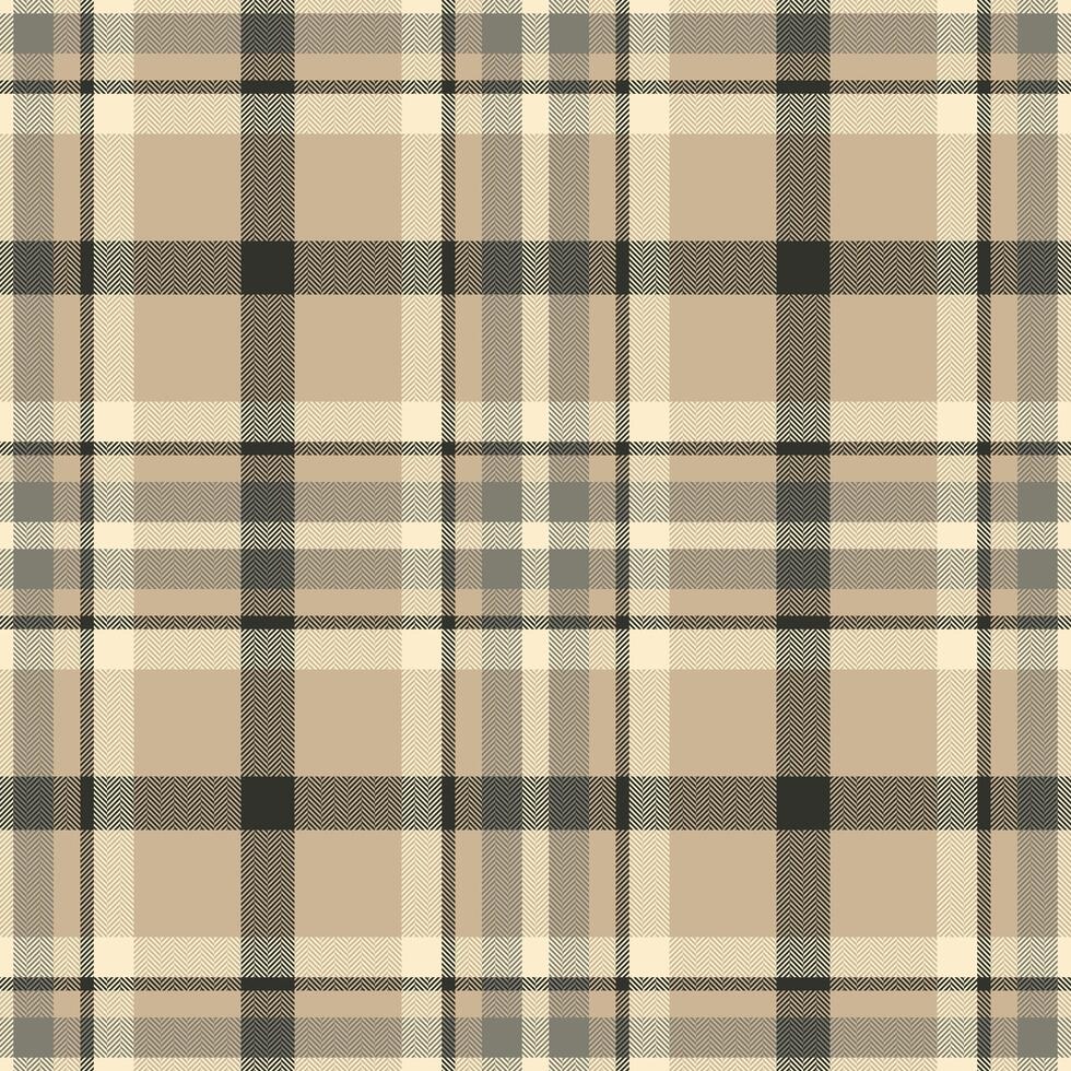 Plaid seamless pattern. Check fabric texture. textile print. vector