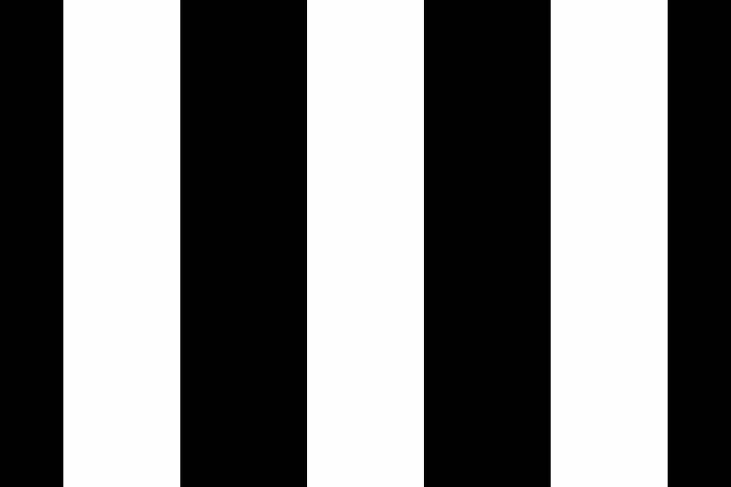 Lined pattern texture lines, stripe background stripe seamless. Tape fabric vertical textile in black and white colors. vector