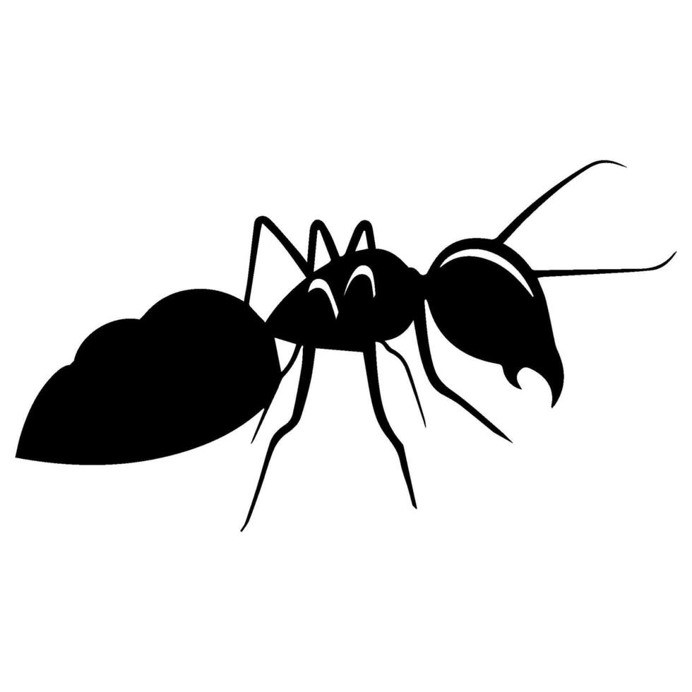 ant animal icon vectors illustration symbol design