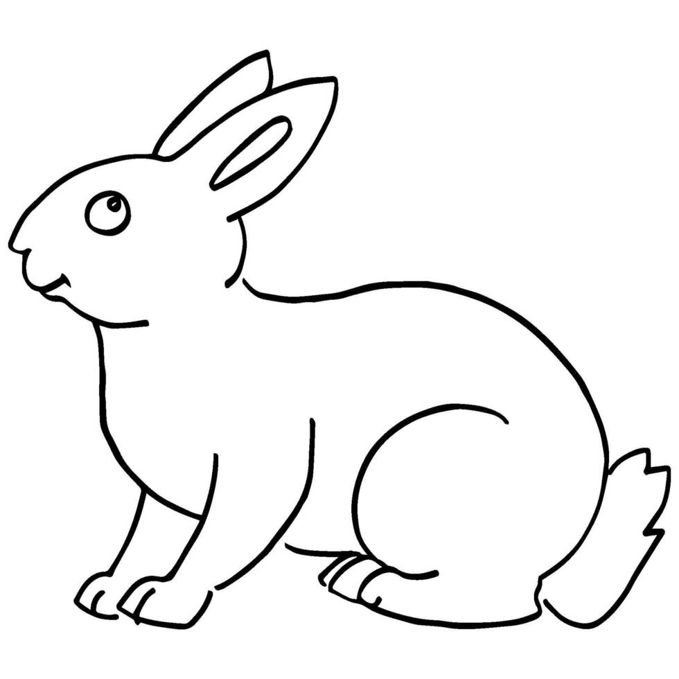 rabbit animal icon vectors illustration symbol design