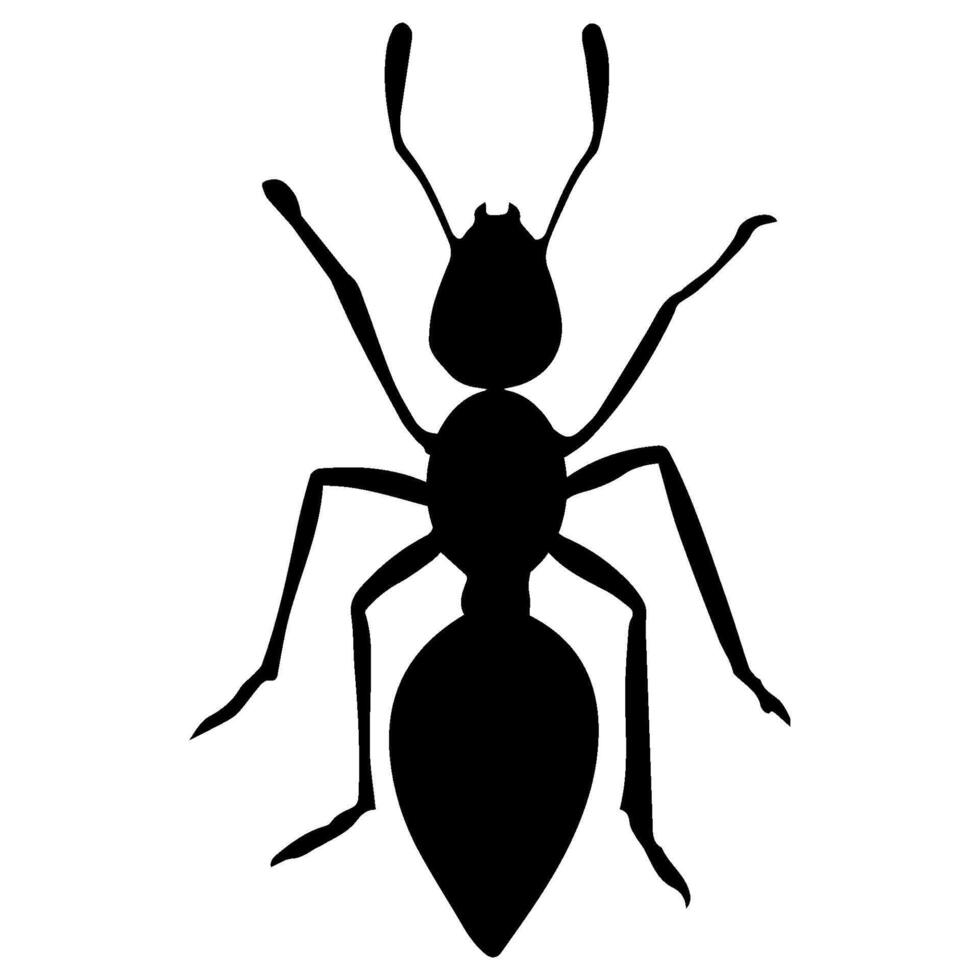 ant animal icon vectors illustration symbol design