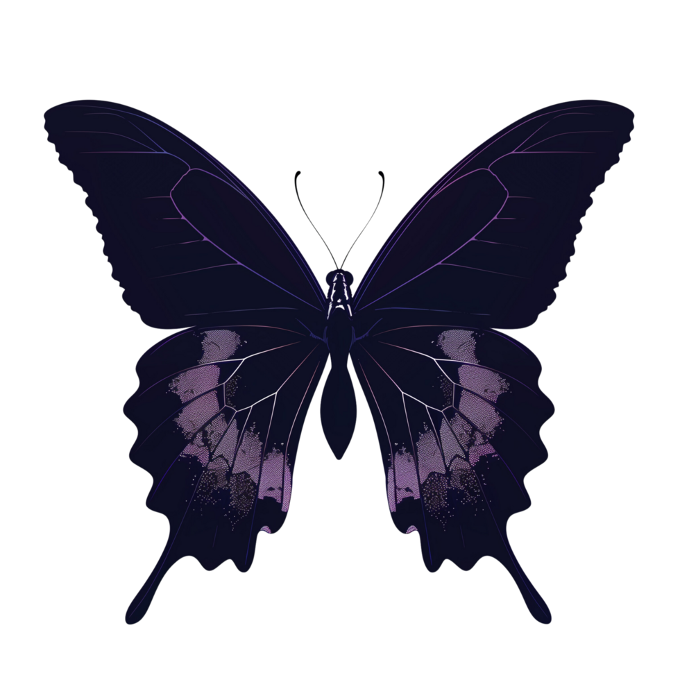 A beautiful butterfly silhouette with delicate wings, isolated on a transparent background png