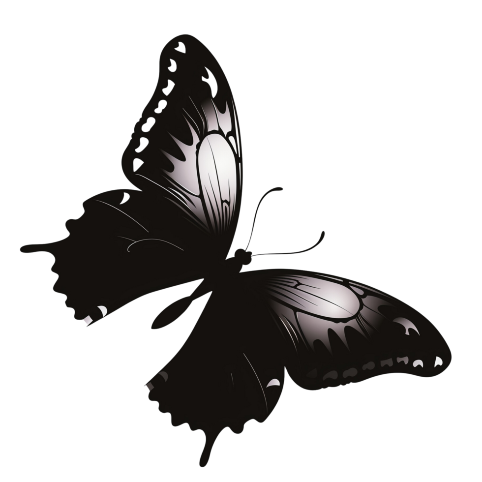 A beautiful butterfly silhouette with delicate wings, isolated on a transparent background png