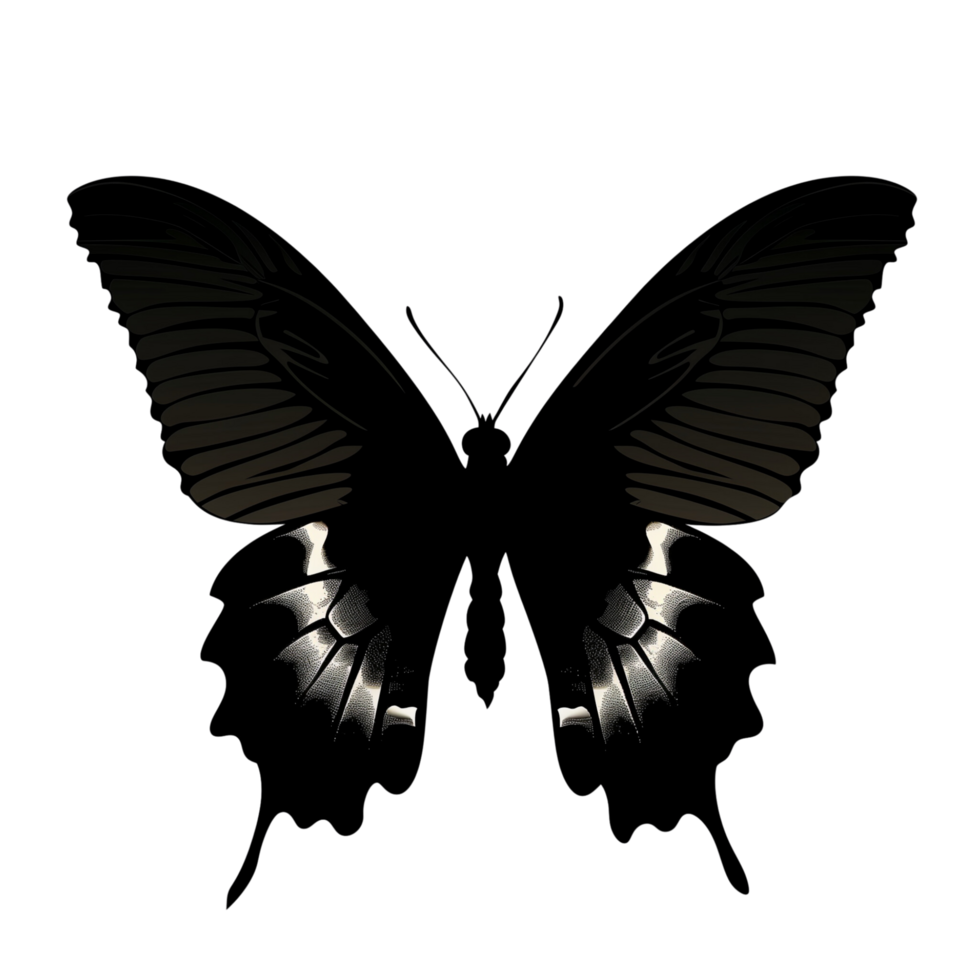 A beautiful butterfly silhouette with delicate wings, isolated on a transparent background png