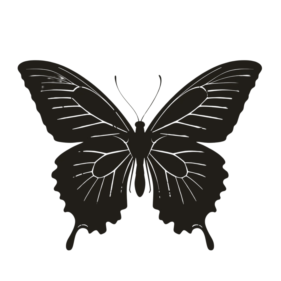 A beautiful butterfly silhouette with delicate wings, isolated on a transparent background png