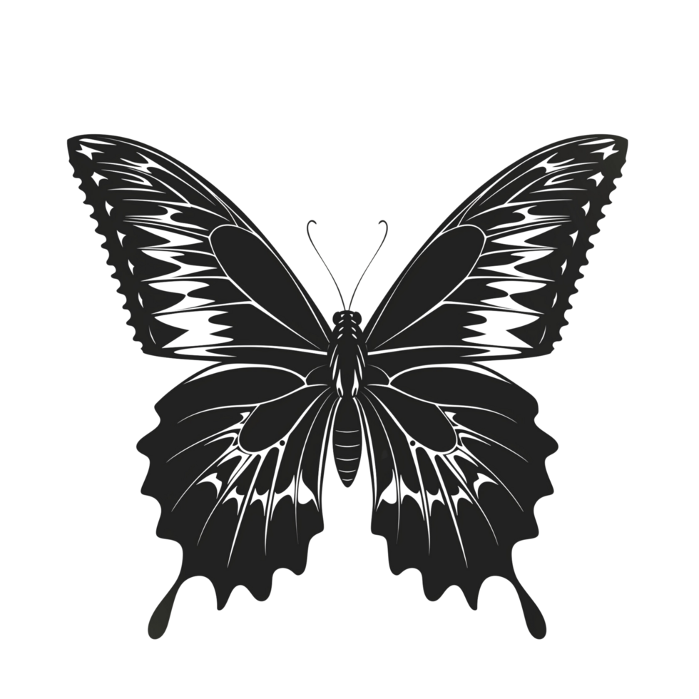 A beautiful butterfly silhouette with delicate wings, isolated on a transparent background png