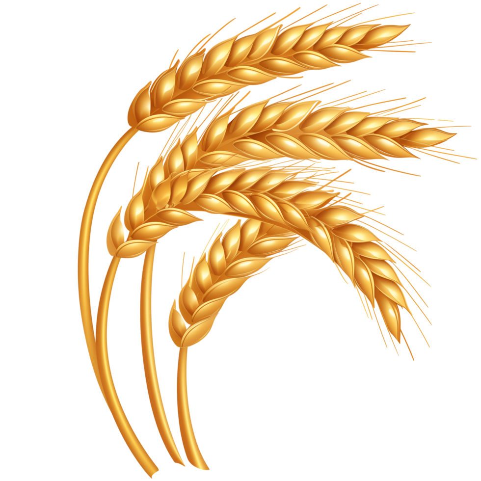 A close-up of a wheat icon, isolated on a transparent background png