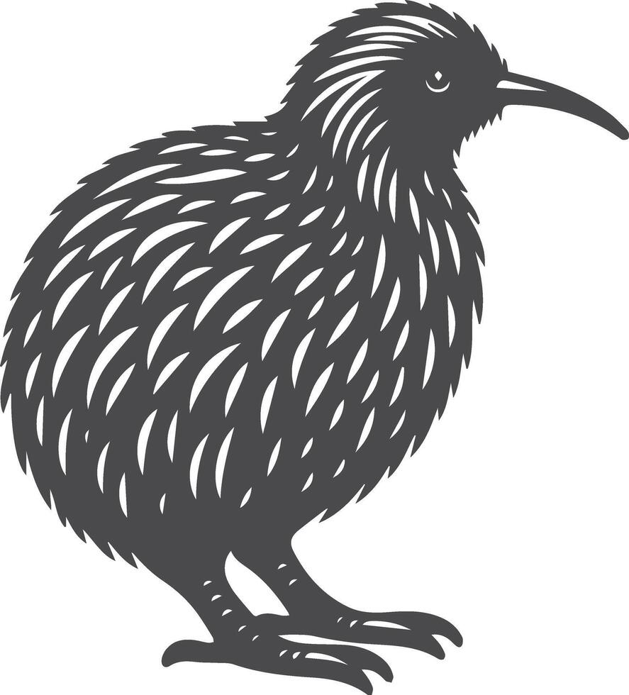 kiwi bird silhouettes illustration vector