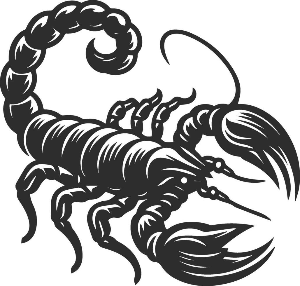 Scorpio silhouettes illustration vector