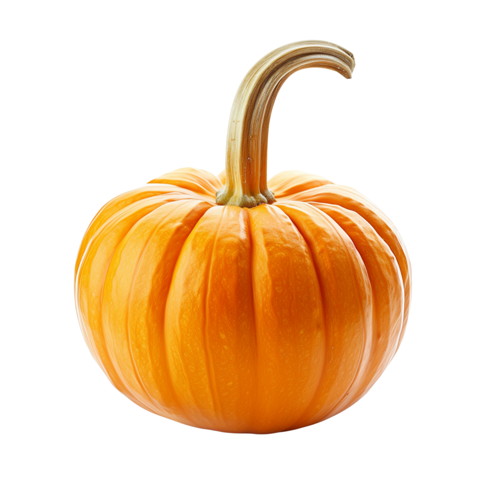 A vibrant orange pumpkin isolated on a transparent background png